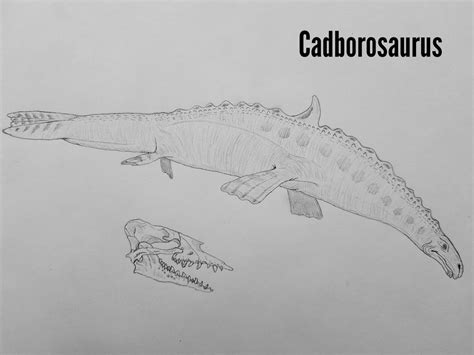 Cotw226 Cadborosaurus By Trendorman On Deviantart