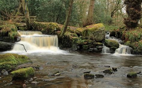 Rivelin Valley Nature Trail Sheffield 2018 All You Need To Know