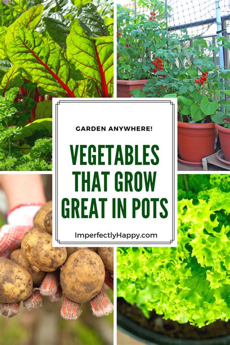 Vegetables In Pots The Best Veggies To Grow In Containers