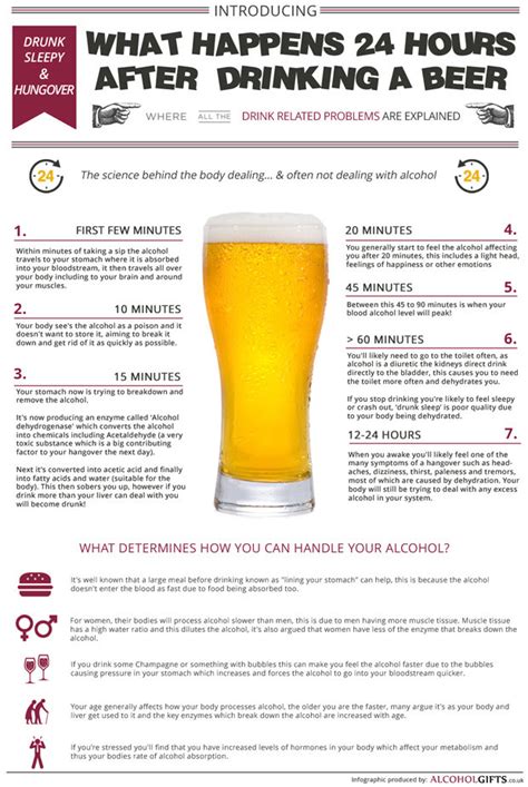 What Beer Does To Your Body Is Revealed In Shocking Infographic Daily