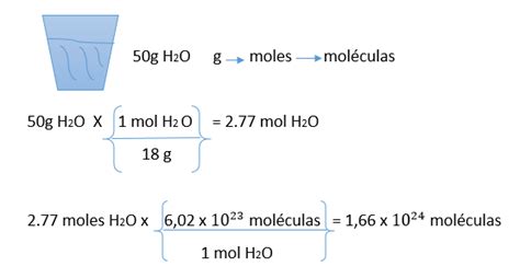 Reacción En La Física Y La Química Numero De Avogadro