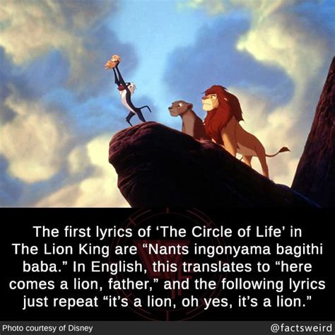 Circle Of Life Lyrics Lion King Verypsawe