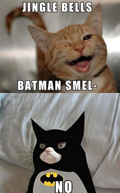 27 Most Funny Bat Meme Pictures Of All The Time