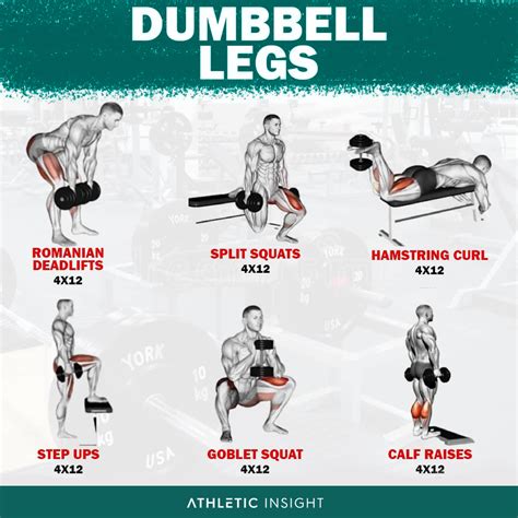 Dumbbell Legs Workout R Workouts