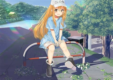 29 Download Wallpaper Anime Hataraku Saibou Sachi