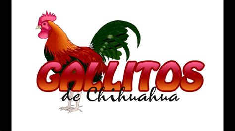 Los Gallitos De Chihuahua Voy A Llorar Por Ti2014 Youtube