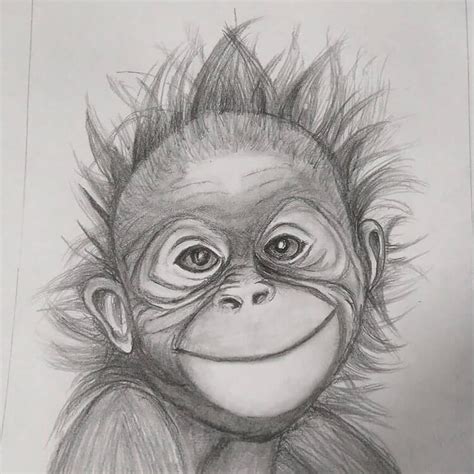 25 Fantastic Pencil Monkey Drawing References Beautiful Dawn Designs