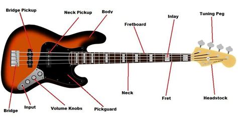 Fender Jazz Bass J Bass Guitar Diagram Learn To Play Guitar Bass