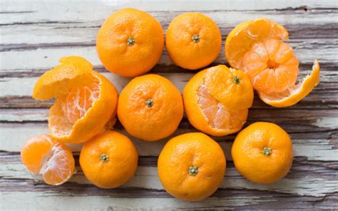 Types Of Oranges Their Classification And Varieties In Taste