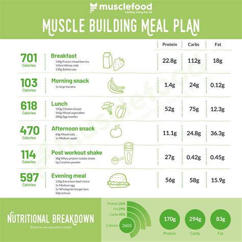 Week Workout Plan For Muscle Gain