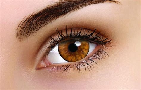 ColourVUE Woody Brown Coloured Contact Lenses