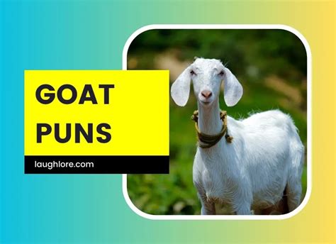 Goat Puns Laugh Lore