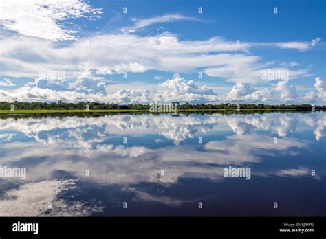 Sky Reflected In Water On A Lake In The Amazon Rainforest In Peru Stock