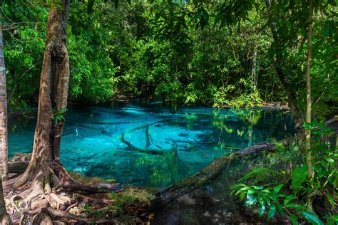 A Picturesque Blue Lake In The Jungle Of Thailand In Krabi 5244x3500