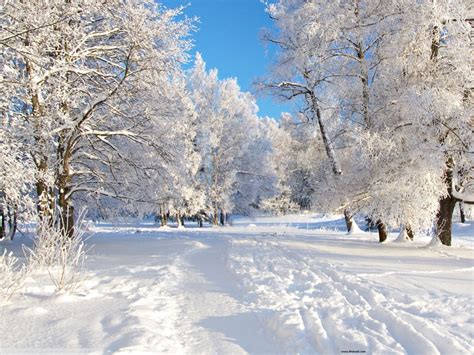 Free Winter Wallpapers Download Group 90