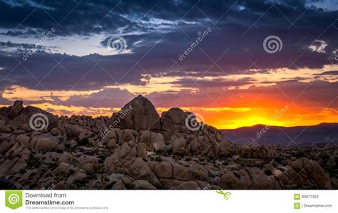 Sunrise At Joshua Tree National Park Stock Image Image Of National