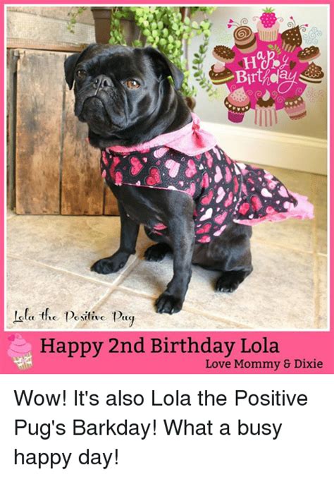 Birthdaysand Pug Happy 2nd Birthday Lola Love Mommy 8 Dixie