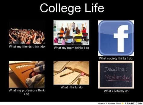 Funny College Memes For Students