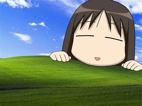 Free Wallpaper Stock: Wallpaper Lucu Dan Unik