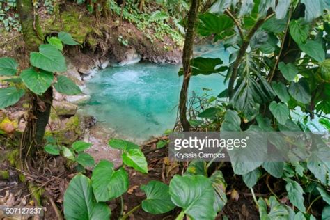 Tropical Turquoise Pond In Rainforest Costa Rica Stock