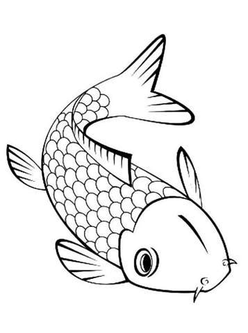 Kidsnfun 21 Kleurplaten van Koi
