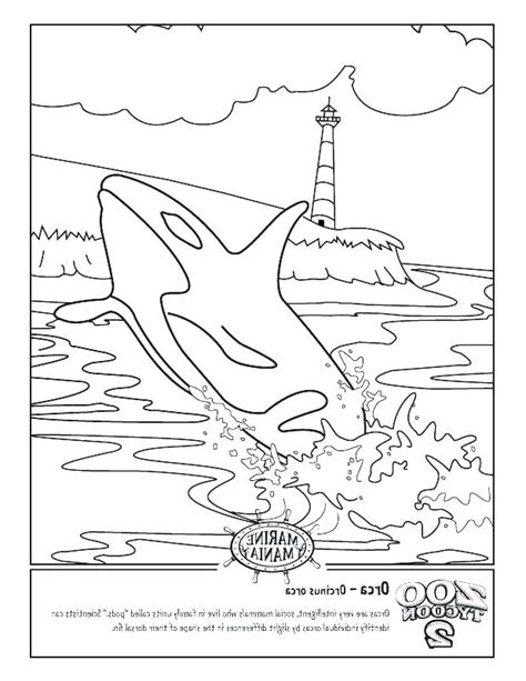 The picture featured here in this killer whale coloring sheet would make. Killer Whale Coloring Page at GetColorings.com | Free ...