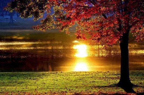 117 Best Colorful Autumn Images On Pinterest Fall