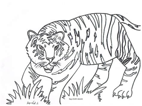 Tiger Coloring Page For Kids Photos Animal Place
