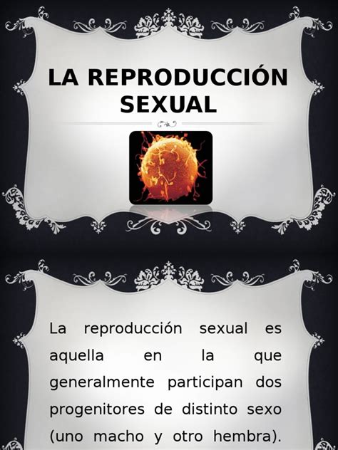 la reproduccion sexual ppt reproducción reproducción sexual
