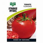 Starke Checkers Tomato Seeds Ayres Flowers Plants