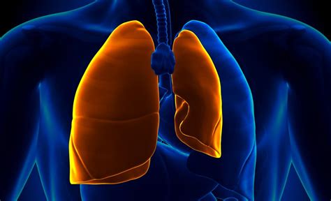 Só aqui no futemax você fica ligado em tudo o que rola no mundo do futebol ao vivo, ufc, notícias do mundo esportivo e muito mais totalmente grátis. Pneumothorax in the Emergency Department - Part 2 - EMOttawa