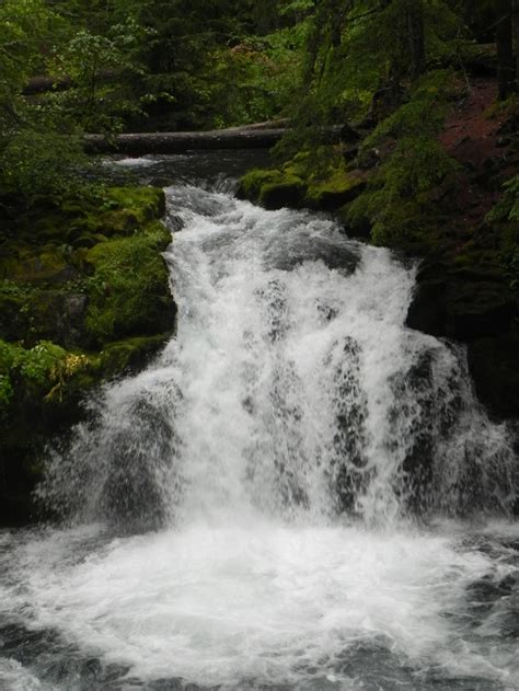 Whitehorse Falls Umpqua River Scenic Byway Oregon