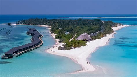 Cumple el sueño de todo viajero de conocer el paraíso azul de las islas maldivas, un paraje tropical idílico de playas interminables de arena blanca y aguas cristalinas. Buceo en Maldivas, no sólo atolones y palmeras ...