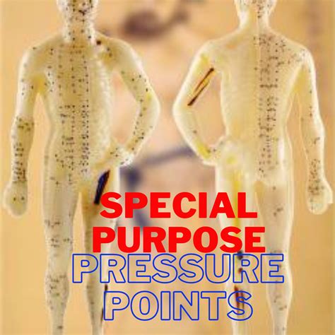 Special Purpose Pressure Points Video Course High Level Kyusho