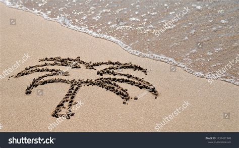 Palm Written On Sand Texture Stock Photo 1731421348 Shutterstock