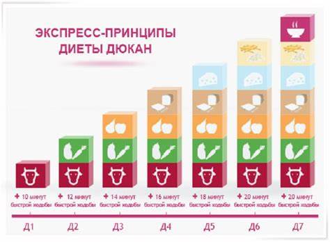 Лестница дюкана диета меню Диета Дюкана Лестница Питания Меню — Похудение Диета Правильное Питание Диета Дюкана Лестница Питания Меню — Похудение Диета Правильное Питание Лестница дюкана диета меню