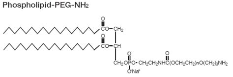 Phospholipid molecules are amphiphilic in nature. 4-2. Activated PEG phospholipids | Phospholipid-PEG-NH2