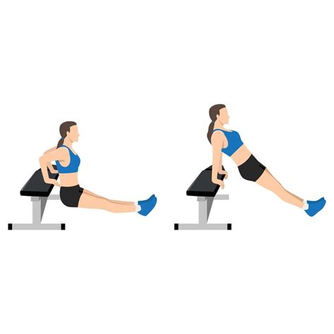 Woman Doing Bench Tricep Dips Exercise Flat Vector Illustration Isolated On White Background