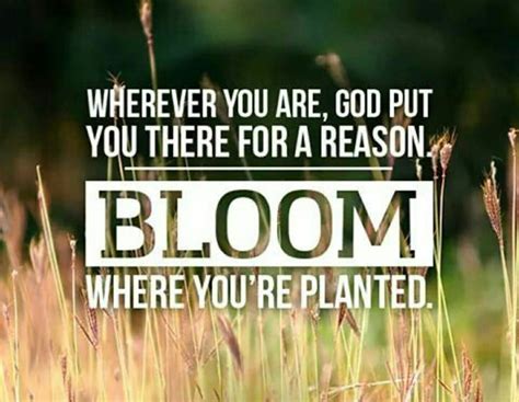 Bloom Where You Are Planted Heavenly Treasures Ministry