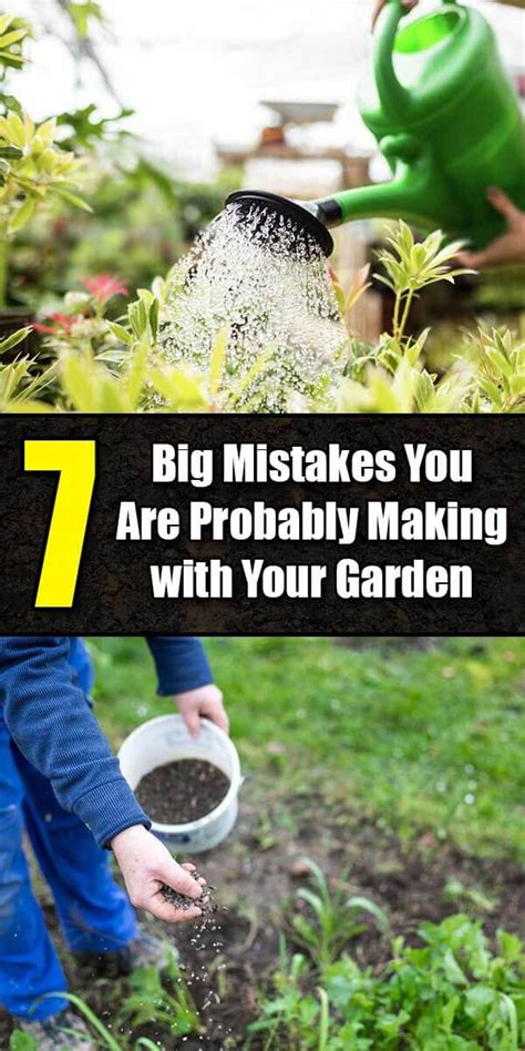 On perennials in the border. 7 Big Mistakes You Are Probably Making with Your Garden ...