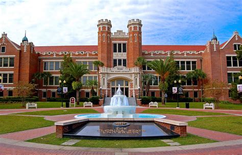 College Reviews University Of Florida The Patriot