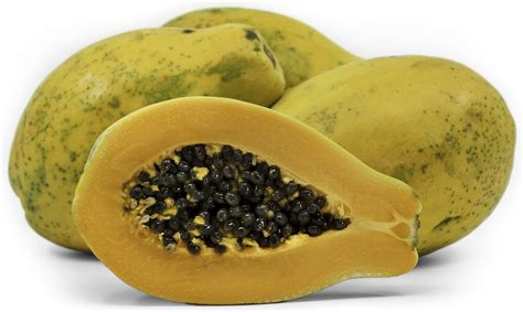 Hawaiian Papaya Information Recipes And Facts