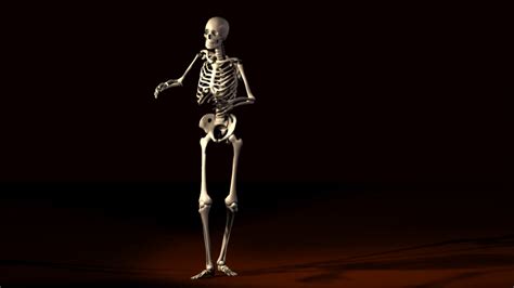 Posing Skeleton Animation Stock Motion Graphics Sbv 300244827 Storyblocks