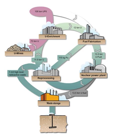 Nuclear Fuel Cycle Ensreg