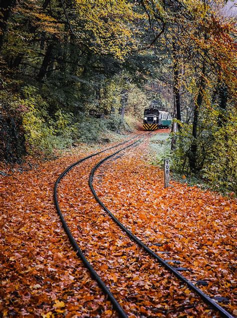 Hd Wallpaper Green Train Surrounded By Trees Autumn Autumn Colours