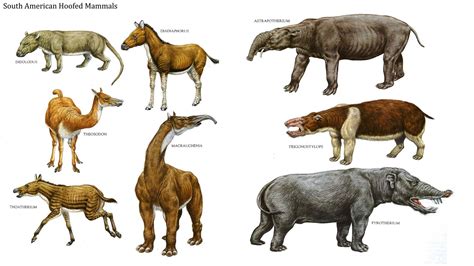 Prehistoric Wildlife Prehistoric World Prehistoric Creatures Animals