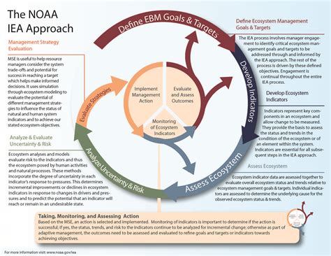 Iea Approach Integrated Ecosystem Assessment