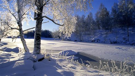 Winterbilder Kostenlose Hintergrundbilder Winter Bilder Finden Die Zum