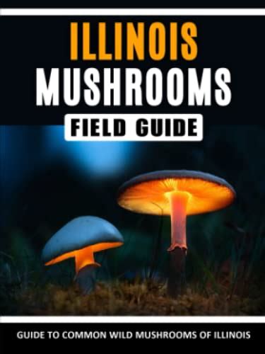 Mushrooms Of Illinois Identification Field Guide To Common Wild