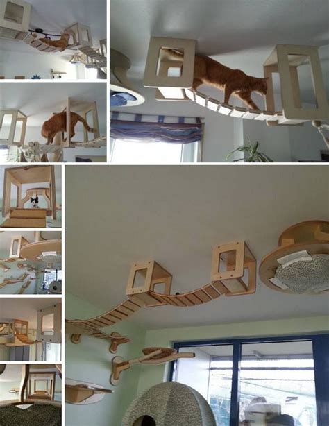 15 Incredible Cat Adventure Playgrounds And Their Ungrateful Residents